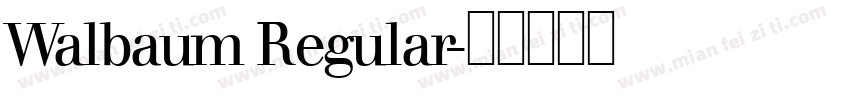 Walbaum Regular字体转换